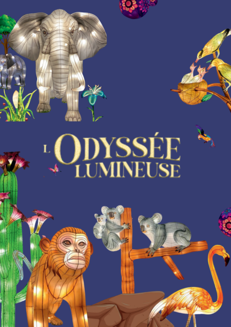 L'odysée lumineuse à Bordeaux