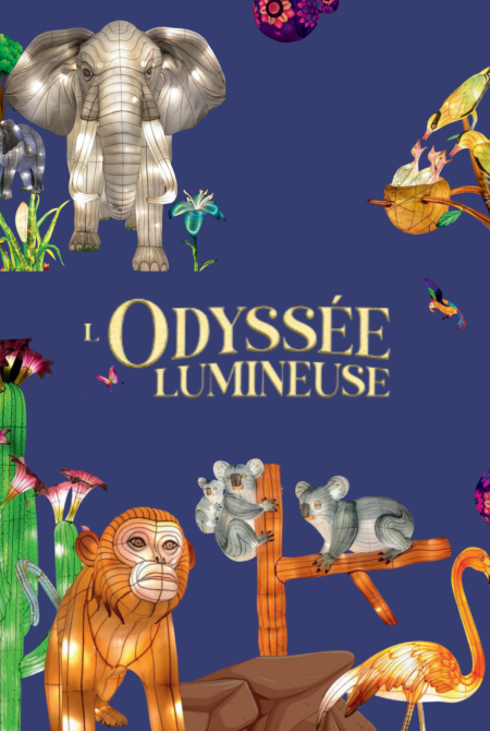 L'odysée lumineuse à Bordeaux